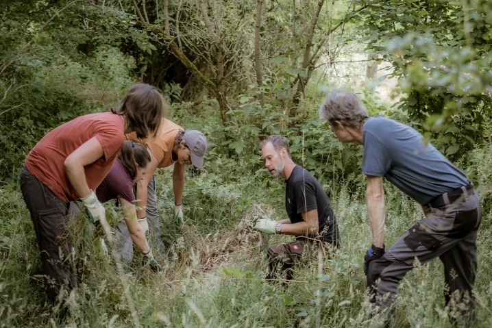 Fr&uuml;hlings-Gartenkurs in Toffen Genauer Veranstaltungsort wird noch mitgeteilt, Thunstrasse null, 3125 Toffen Tickets