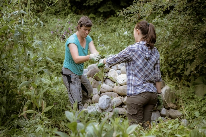Fr&uuml;hlings-Gartenkurs in Thurnen Genauer Veranstaltungsort wird noch mitgeteilt, Dorfstrasse null, 3127 Thurnen Tickets
