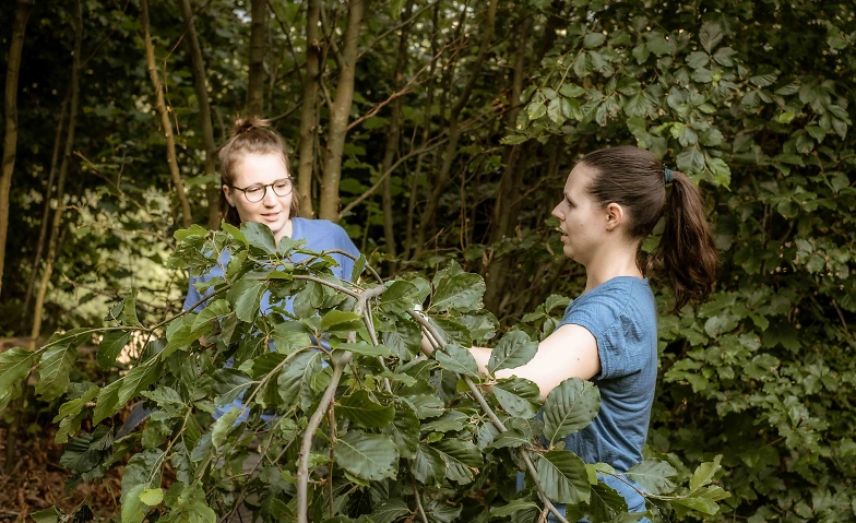 Herbst-Gartenkurs in Thurnen Tickets