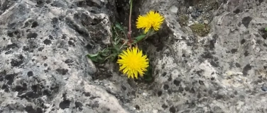 Event-Image for 'Einladung zum &bdquo;Resilienztag 2026&ldquo; am 7. Februar'