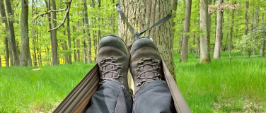 Event-Image for 'Nixmachtag im Felke Heilwald Bad Sobernheim'