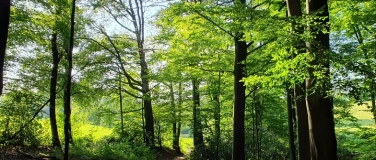 Event-Image for 'Waldbaden - Entspannen mit der Kraft der Natur'