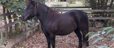 Event-Image for 'Deine eigene Stimme h&ouml;ren &ndash; Wege zur inneren Freiheit'