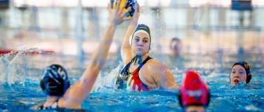 Event-Image for 'Wasserball Bundesliga Frauen SSV Esslingen - SV BW Bochum'