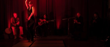 Event-Image for 'Flamenco Abend'