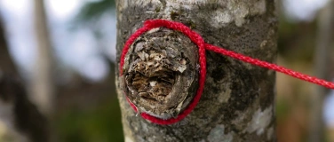 Event-Image for 'Kunst Natur Retreat'