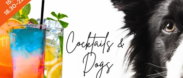 Event-Image for 'Cocktails & Dogs'