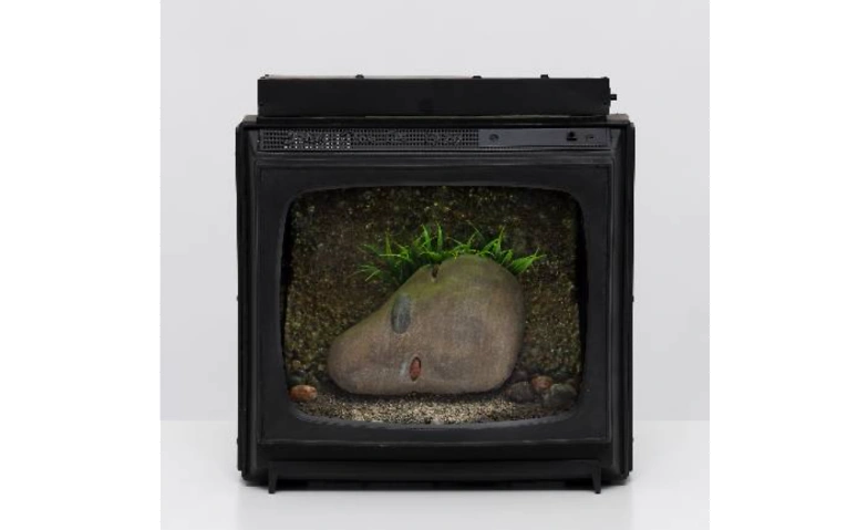Vernissage Carl Cheng - Nature Never Loses Tickets
