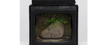 Event-Image for 'Vernissage Carl Cheng - Nature Never Loses'