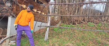 Event-Image for 'Schnitt und Pflege bei Beeren und Reben'