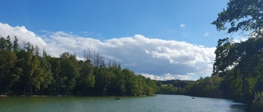 Event-Image for 'Wald, Wasser, Waffeln - Bergisch wandern und genie&szlig;en'