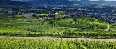 Event-Image for 'STEINGR&Uuml;BLE: Kulinarische Weinprobe im Oettingers Restauran'
