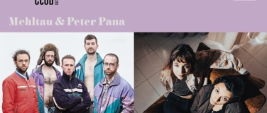 Event-Image for 'Mehltau & Peter Pana'