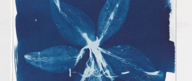 Event-Image for 'Yoga & Cyanotype'