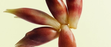 Event-Image for 'Klagelieder aus dem Exil &ndash; Die Lamentationen des Jeremias'