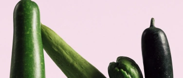 Event-Image for 'Von Troubadouren und Nachtigallen'