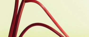 Event-Image for 'Die Tr&auml;ume des Aeneas'