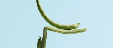 Event-Image for 'Das unvollendete Paradies'