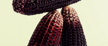 Event-Image for 'Cassandras Stimme'