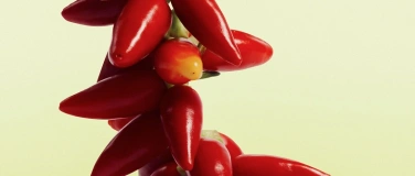 Event-Image for 'Arcadia: Death in Paradise'