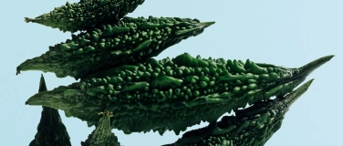 Event-Image for 'Die ganze Welt war einmal&hellip;'