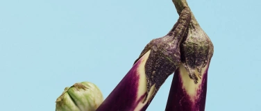 Event-Image for 'Cobalt Garden &ndash; Ein choreografisches Konzert'