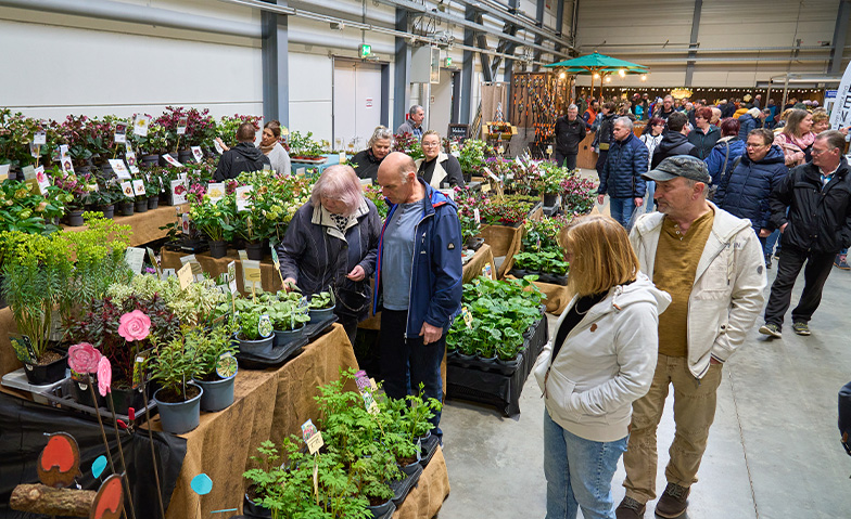 Event-Image for 'Gartentr&auml;ume Halle (Saale)'