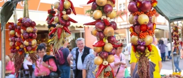 Event-Image for 'Zwiebelmarkt'