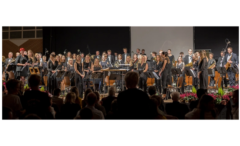 Event-Image for 'Jahreskonzert 2025 - Musikverein Priesendorf e.V.'