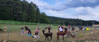 Event-Image for 'Yoga auf der Alpakaweide'