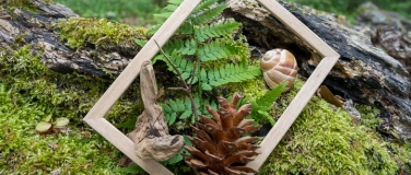 Event-Image for 'Naturverbindung, Entspannung und Achtsamkeit in Z&uuml;rich'