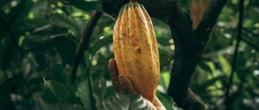 Event-Image for 'unboxing cycles x Será Cacau'