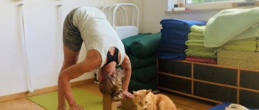 Event-Image for 'Iyengar Yoga (Hatha) Frankfurt Mittwochs'