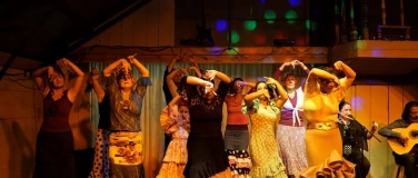 Event-Image for 'Wochenend - Flamenco Workshops im Birkenried'