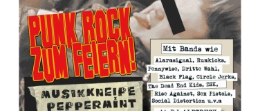 Event-Image for 'Punk Rock zum Feiern!'