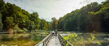 Event-Image for 'Führung Ermitage Arlesheim'