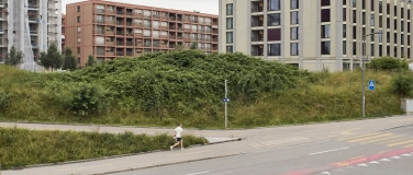 Event-Image for 'Reality Check Neuhegi'