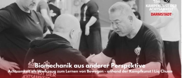Event-Image for 'Wochenendworkshop mit Instruktor D. Brizin (Darmstadt)'