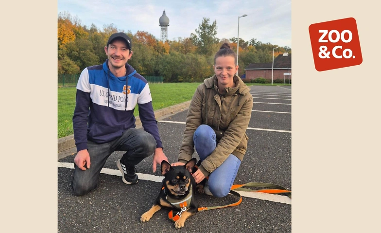 Event-Image for 'Neueröffnung ZOO & Co. mit tollen Aktionen und Rabatten!'