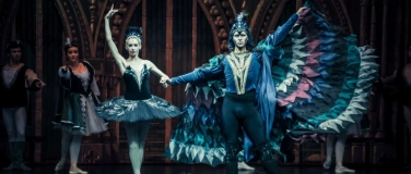 Event-Image for 'Royal Classical Ballet: Schwanensee'