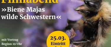 Event-Image for 'Filmabend zu Wildbienen und Vortrag zum Insektensterben'