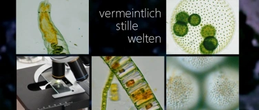 Event-Image for 'Nachtakademie MV: Unter Wasser - Vermeintlich stille Welten'