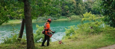Event-Image for 'Wie Naturschutzpflege Vielfalt schafft'
