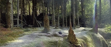 Event-Image for 'THIRD SPACE LAB // sonic somatics workshop'