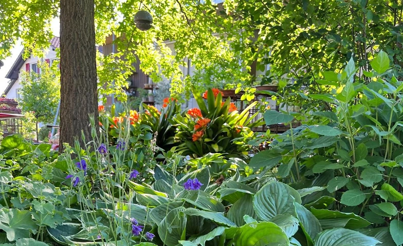 Event-Image for 'offener Garten in Fulenbach'