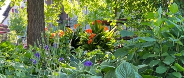 Event-Image for 'Offener Garten in Fulenbach'
