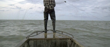 Event-Image for 'cinedolcevita bern zeigt den Film: ostrow-lost-island'