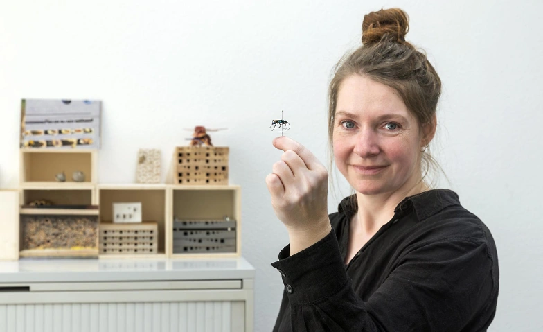 Event-Image for 'Führungen hinter die Kulissen: Wespen'