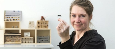 Event-Image for 'Führungen hinter die Kulissen: Wespen'