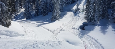 Event-Image for 'Geführte Winterwanderung Solothurner Wanderwege'